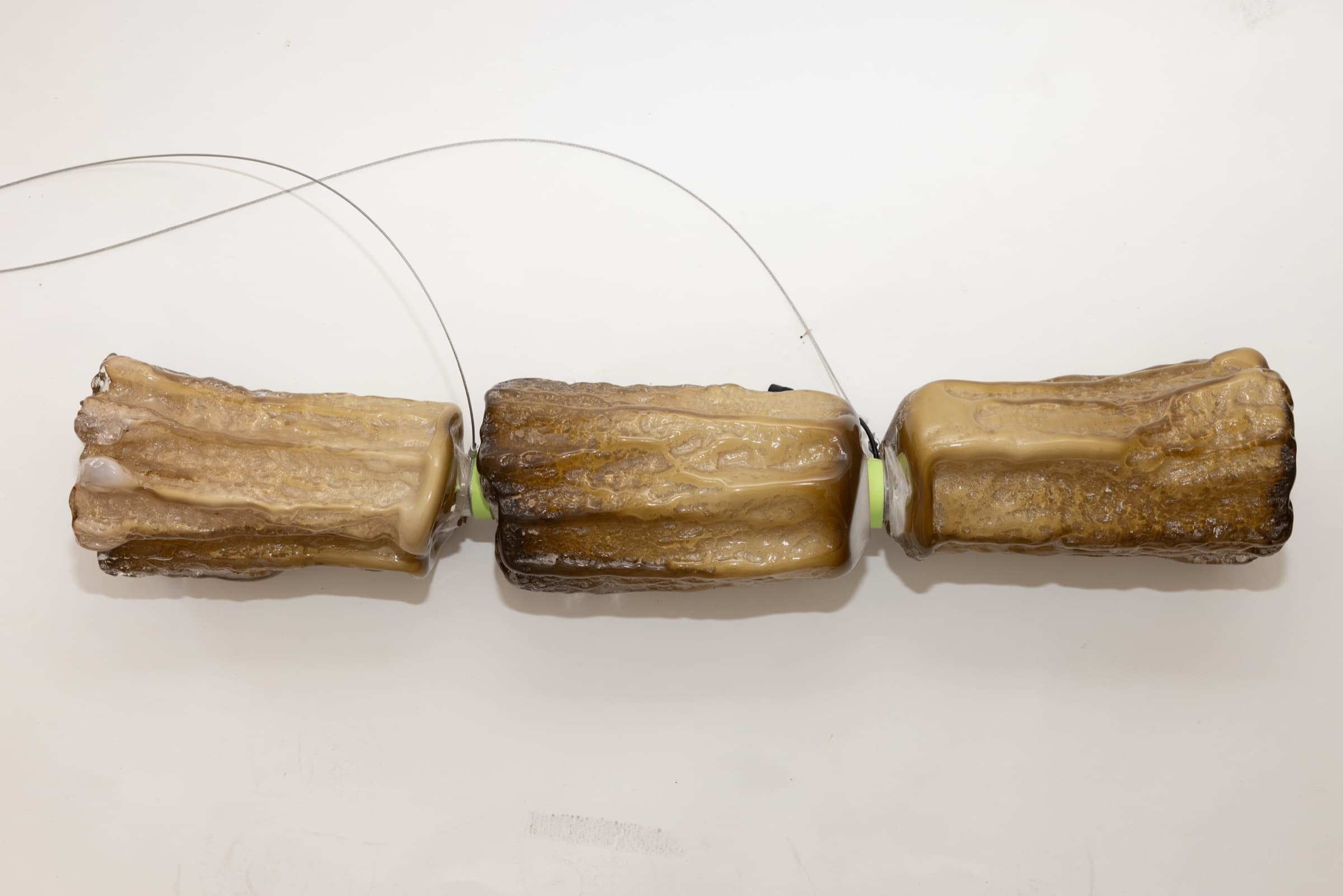 Three bark casts on the bench, cabled, waiting for cords