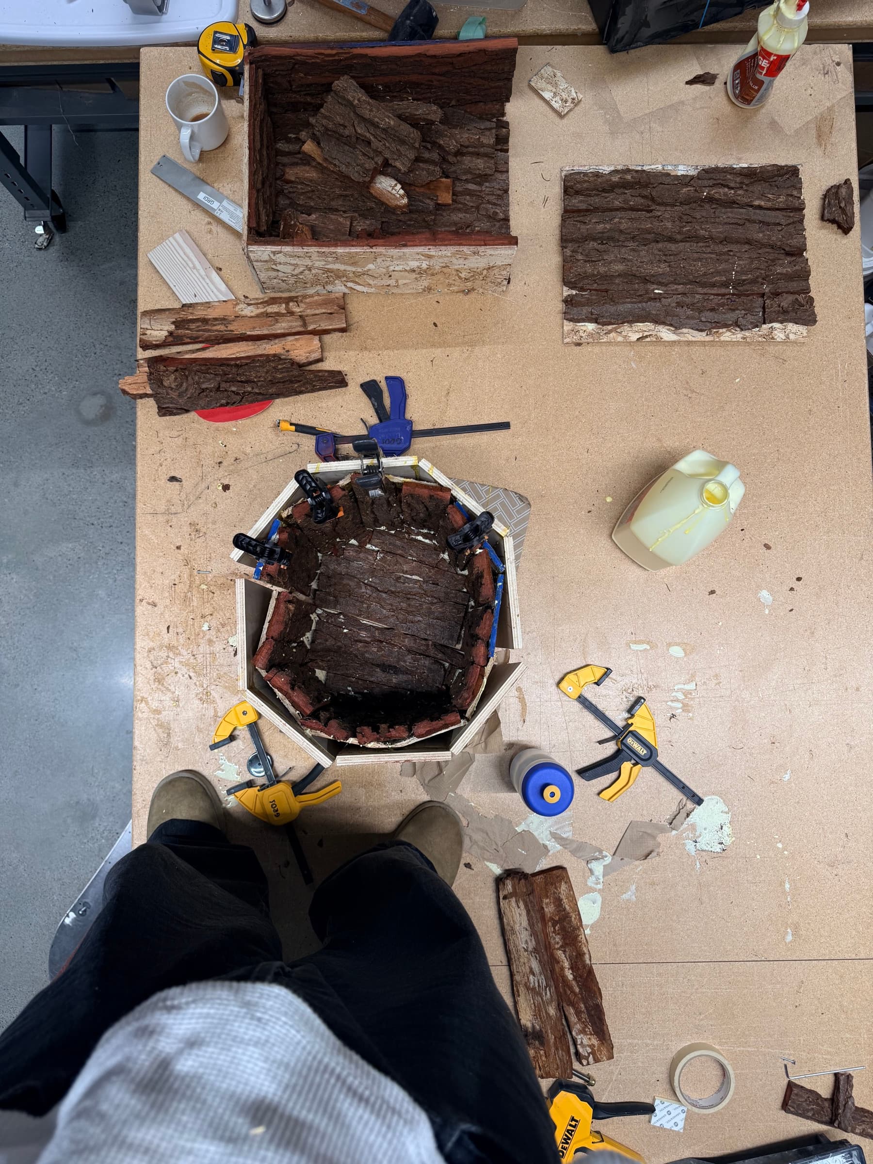 Bark moulds on the studio shelf