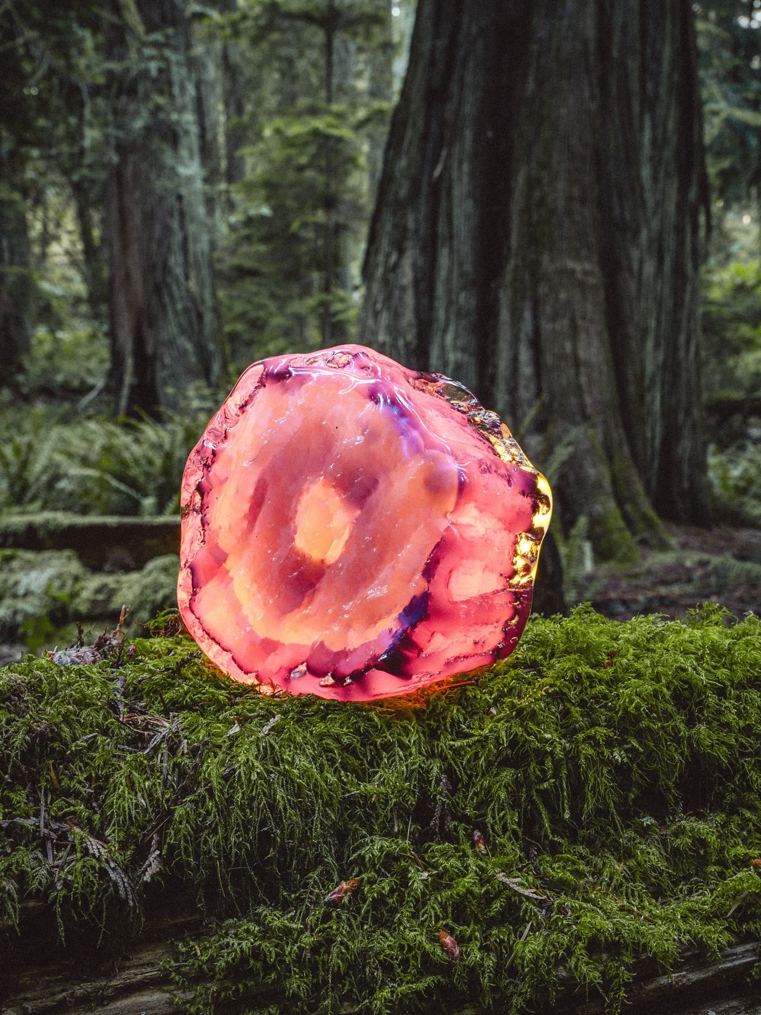 A pink disc cast standing on moss, crusted rim