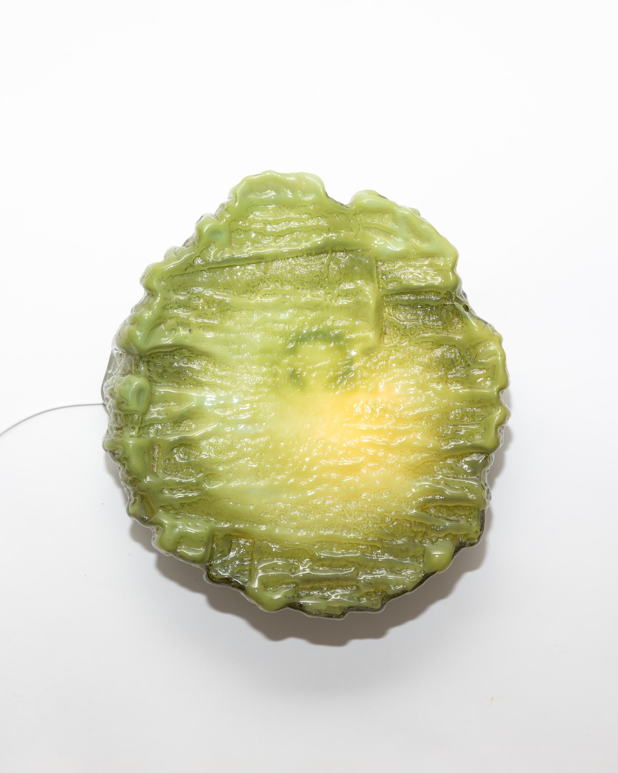 A green bark cast, lit, the glow pooling at its centre