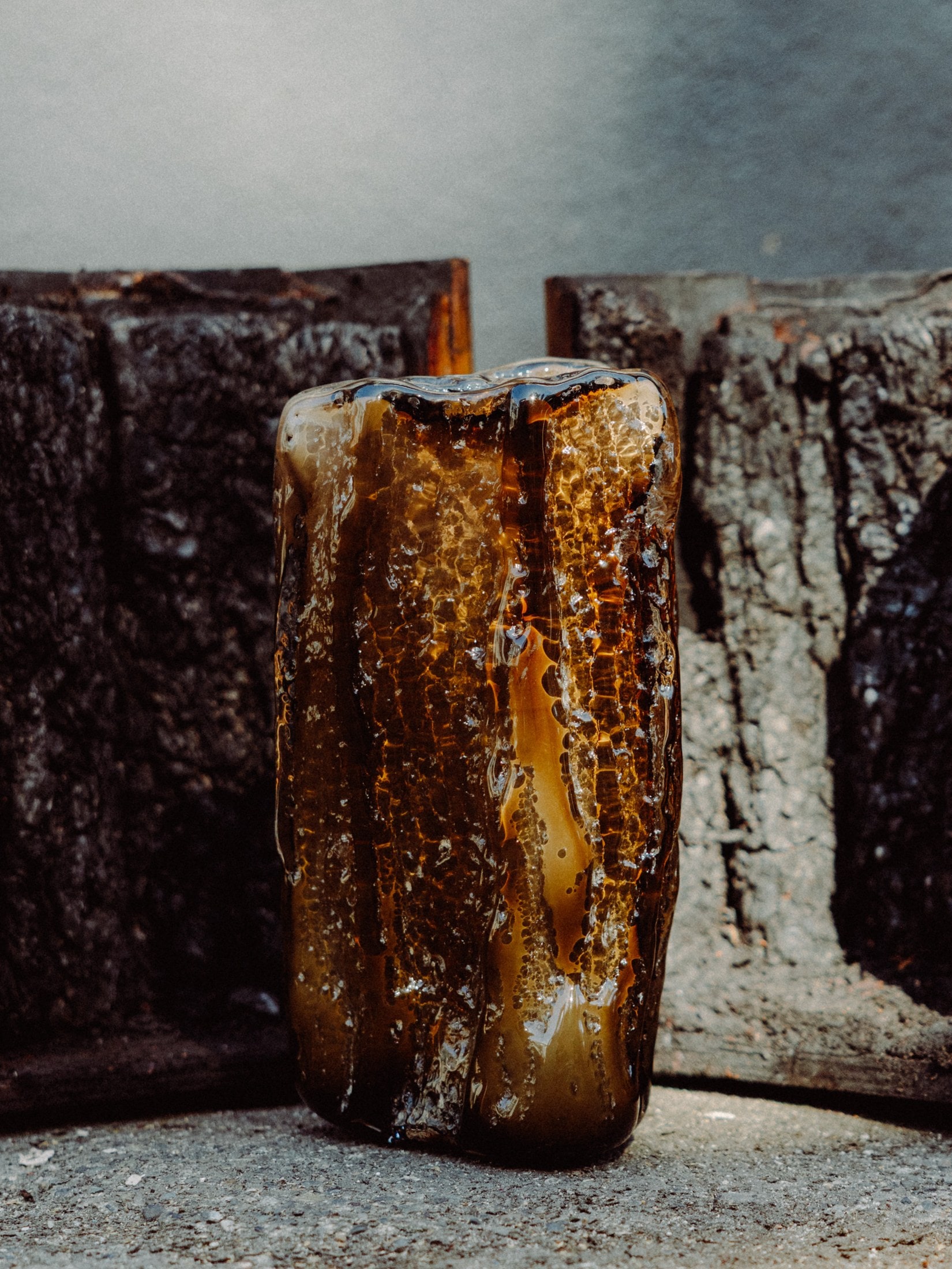An amber column against the charred bark that cast it