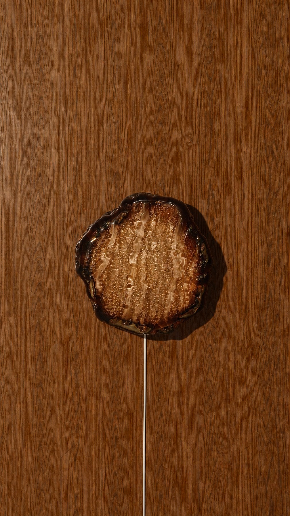Barnacle Pendant, studio image 5