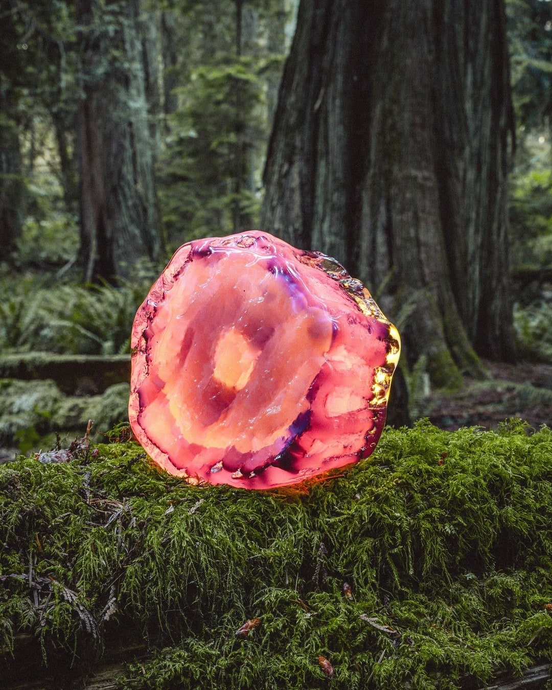 A pink round cast standing upright on moss
