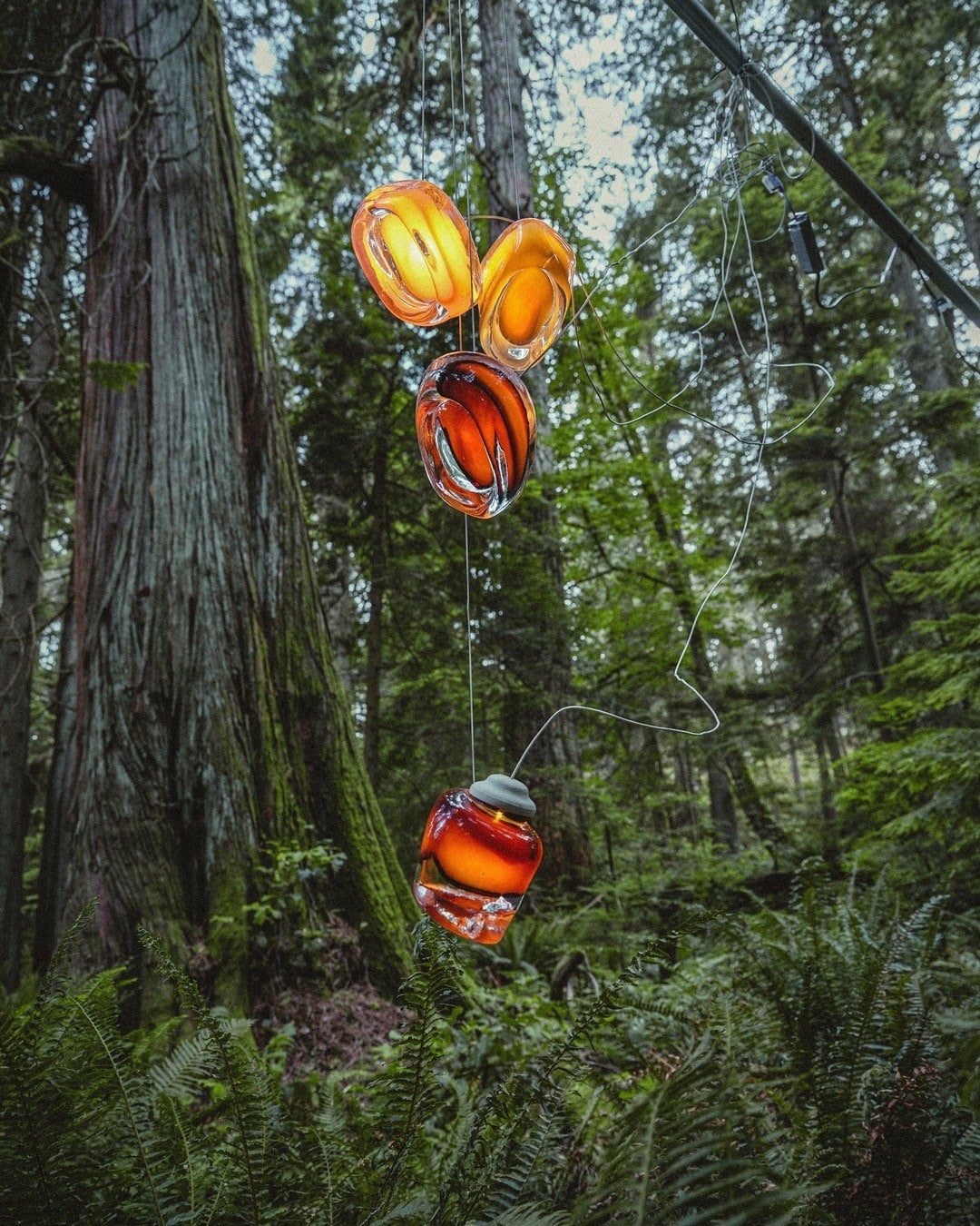 Pendants hung between the trees