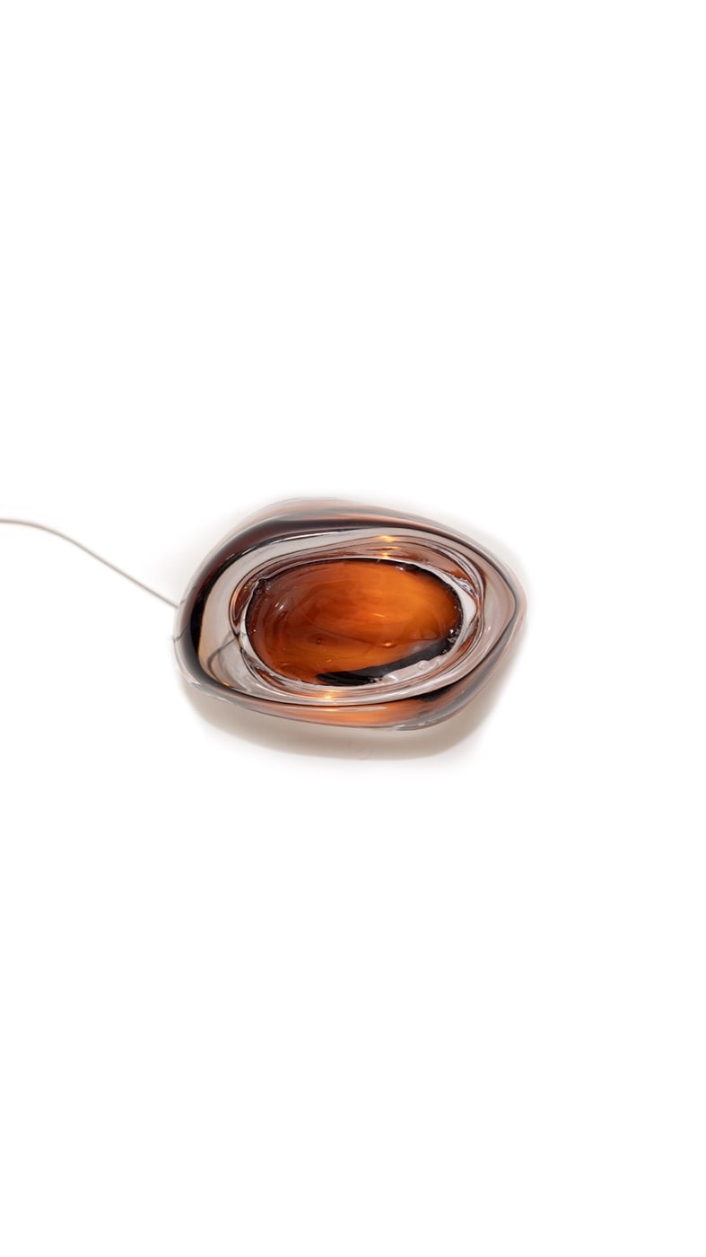 Barnacle, amber glass cast, lit, on white