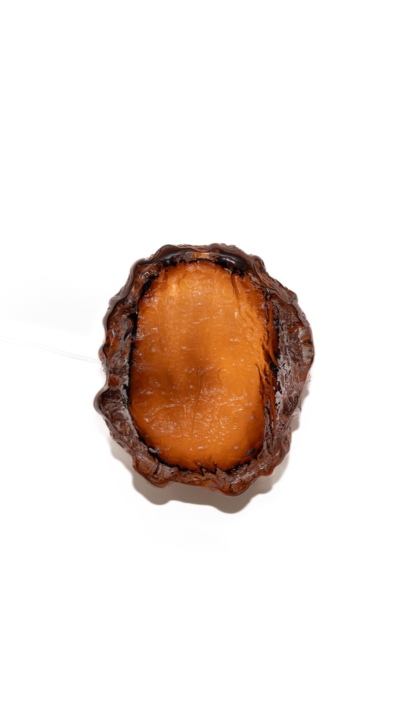 The Pendant's burnt orange pour with its charred rim, on white