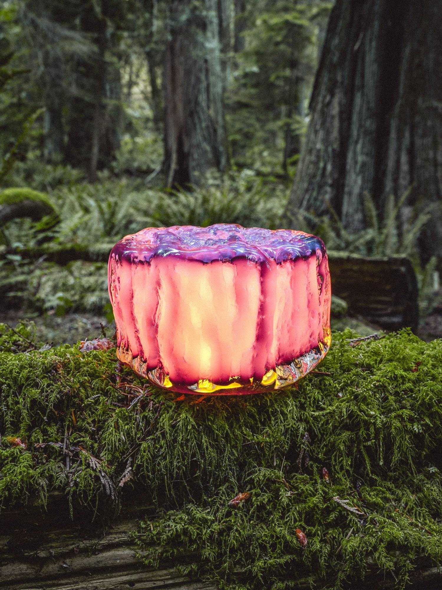 A raspberry bark cast sitting on deep moss, lit