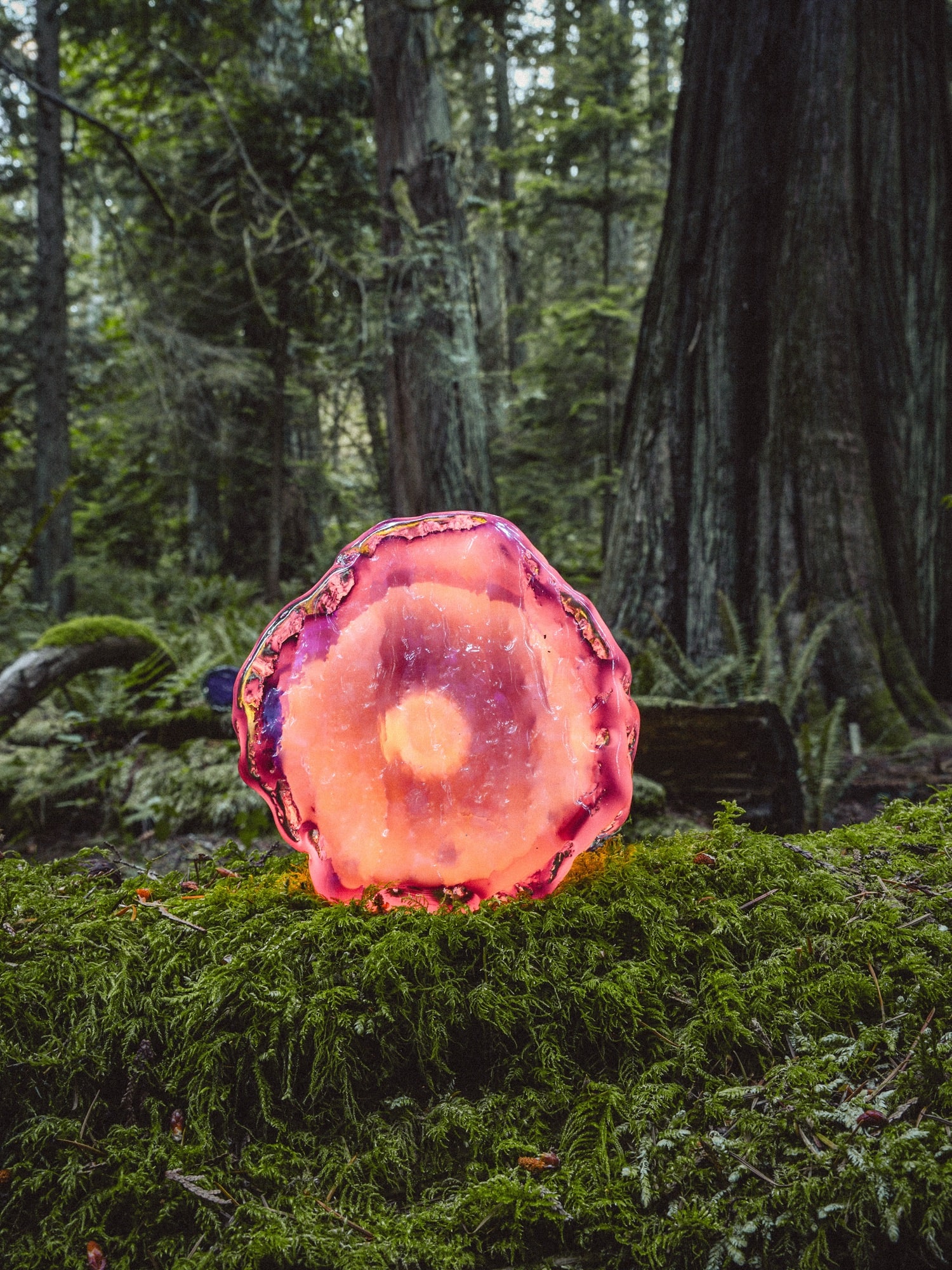 A pink round cast standing upright on moss