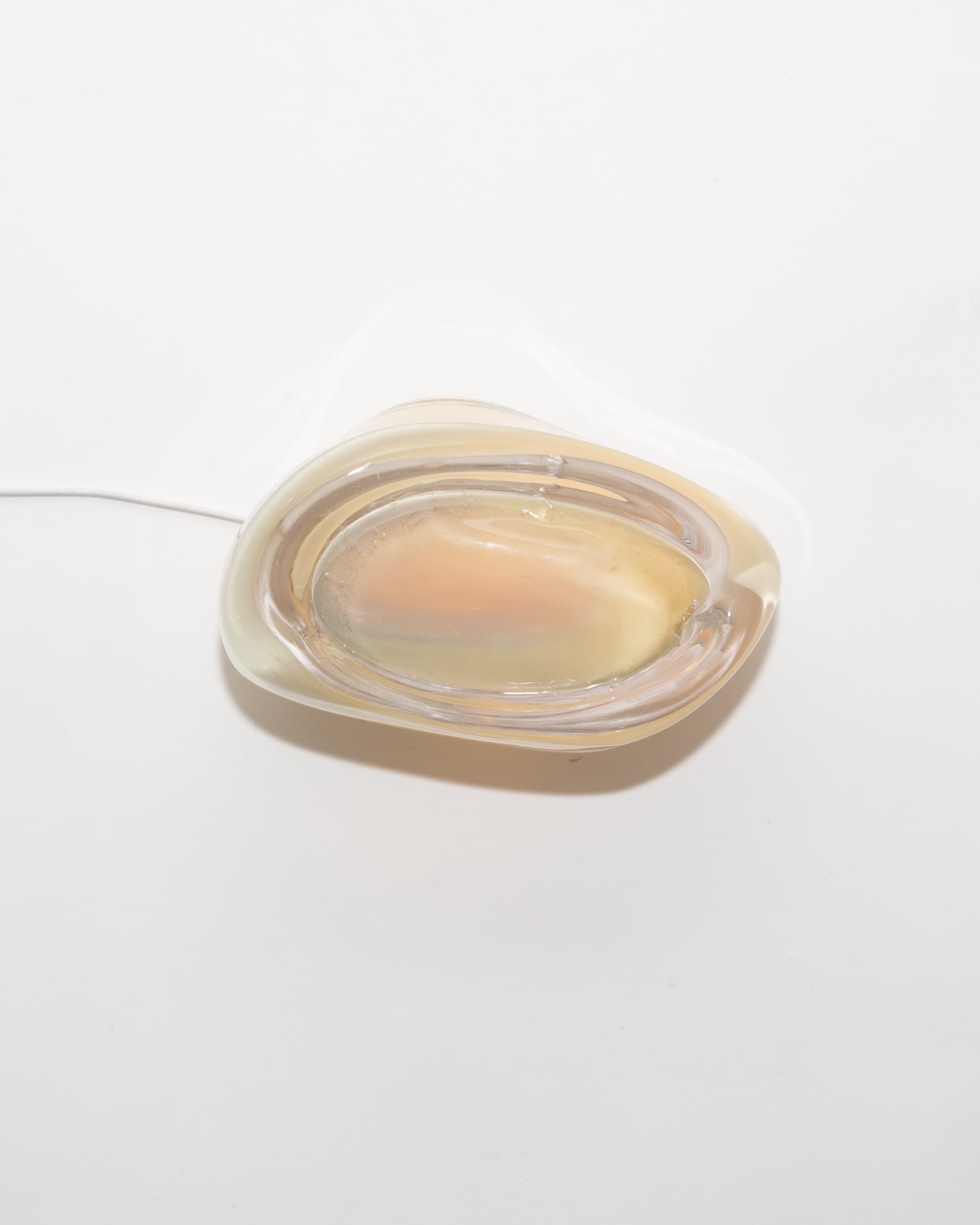 Mussel unlit, the clear casing reading as water