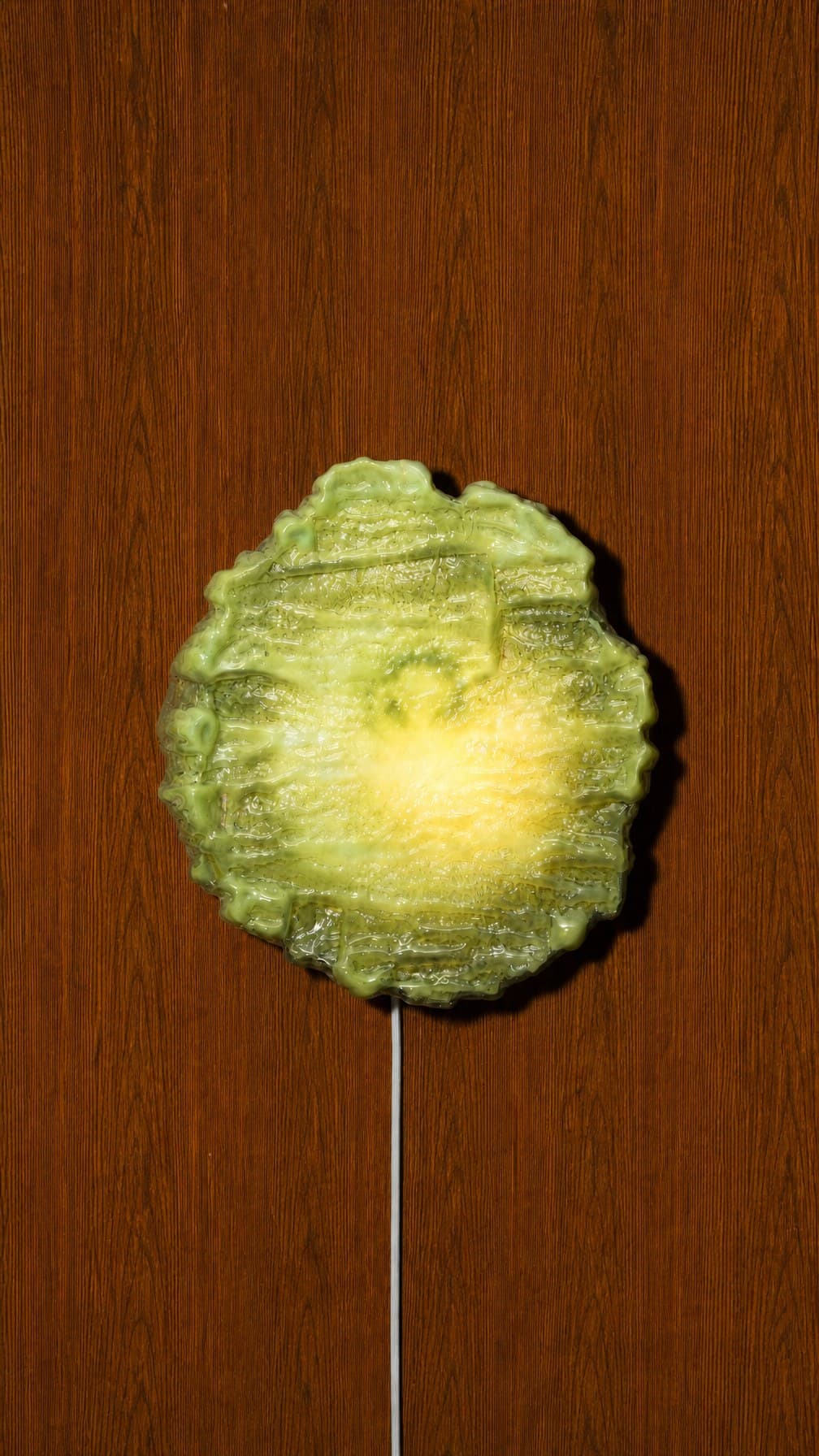 Barnacle Pendant, studio image 4