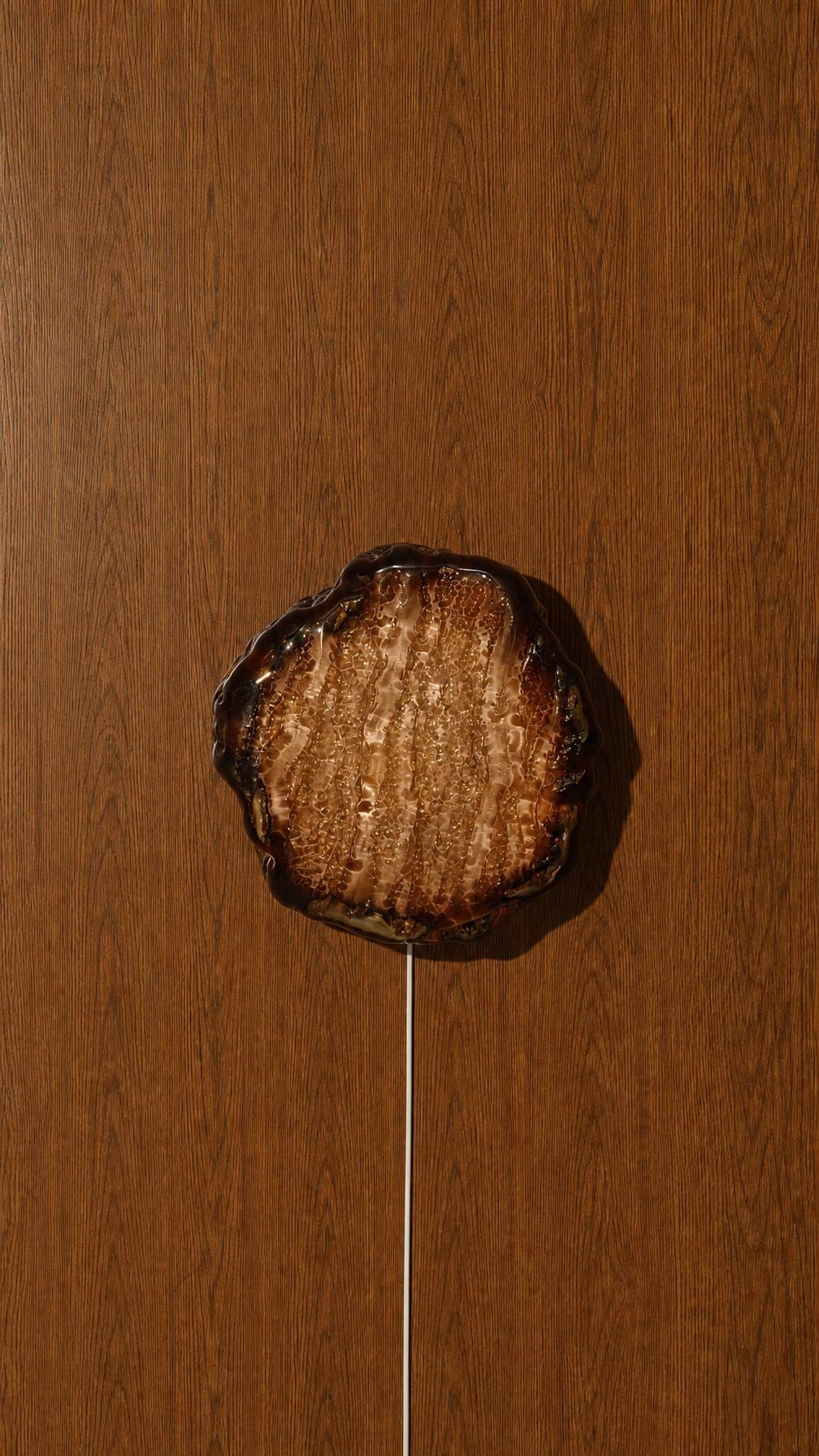 Barnacle Pendant, studio image 5