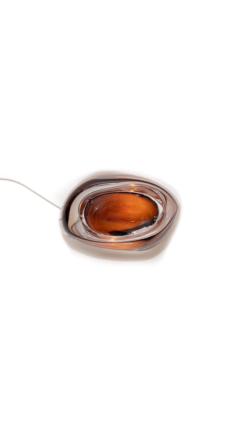 Barnacle, amber glass cast, lit, on white